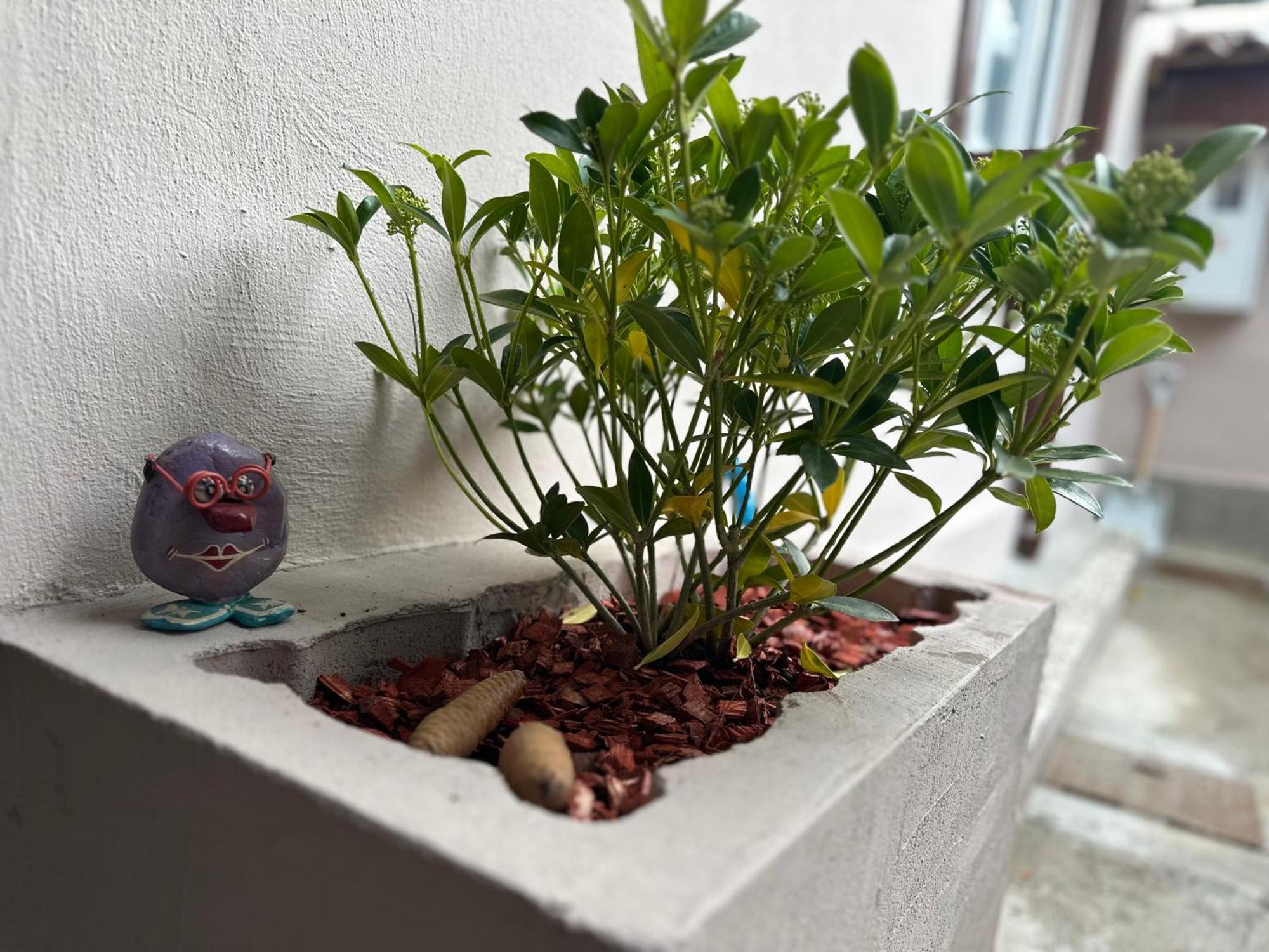 Apartament Sarajevska Mahala Sarajewo Zewnętrze zdjęcie